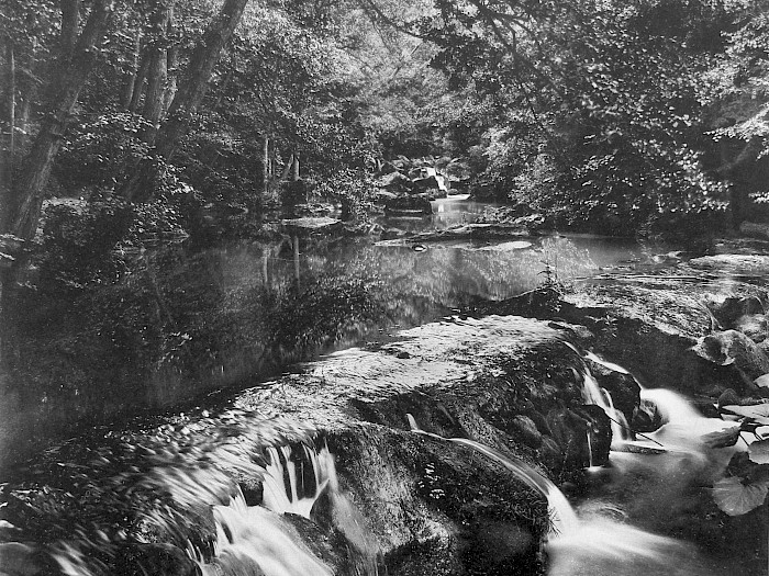 Rauschermühle Eifelalbum 1896